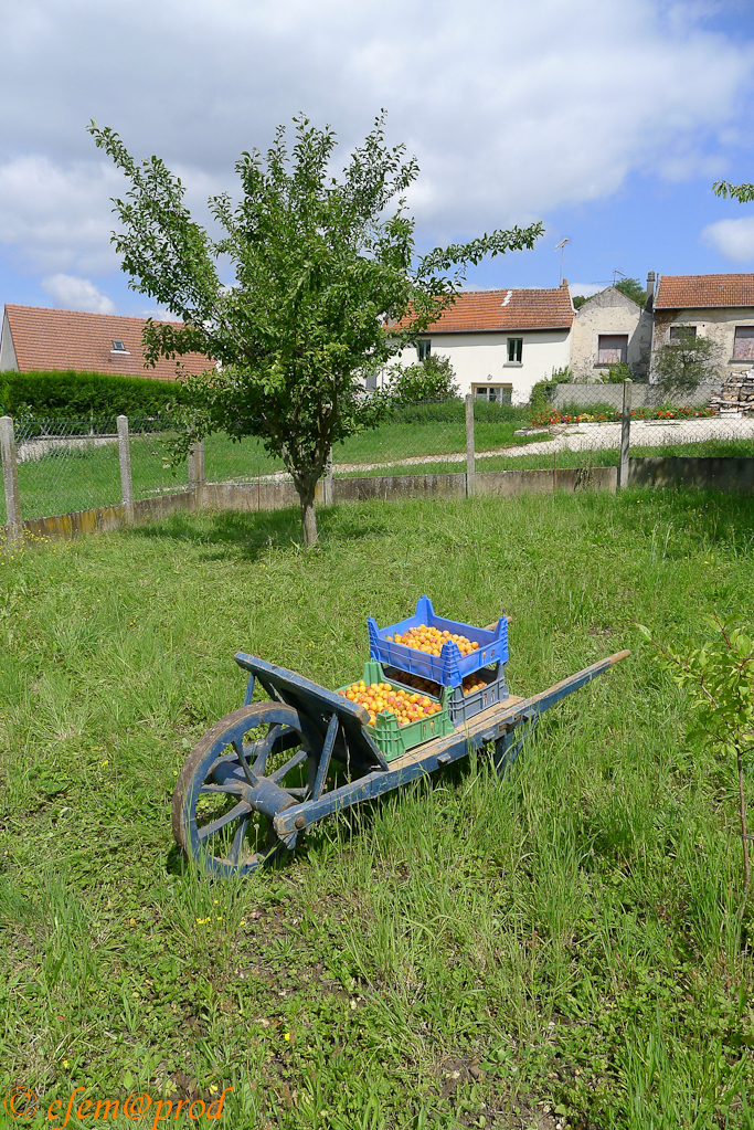 DMC-LX5 - 